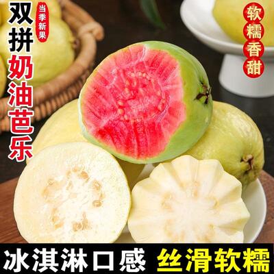 福建双拼芭乐软番石榴新鲜低糖水果草莓奶油芭乐5斤应季现摘包邮