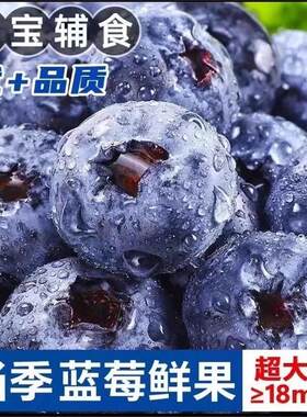 正宗丹东花香蓝莓新鲜现摘产地直发脆甜多汁清香怡人空运包邮大果