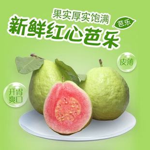 精选现摘红心芭乐新鲜水果西瓜红番石榴孕妇当季 皮薄硬脆甜多汁