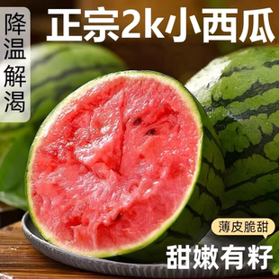 京东包邮小糖丸西瓜新鲜水果全美麒麟2k手撕薄皮脆甜整箱自提有籽