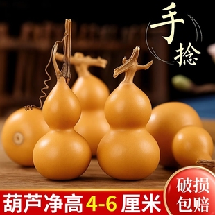 天然小葫芦文玩带龙头胖墩手捻把玩精品野生胡芦迷你家居客厅摆件