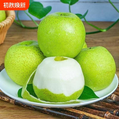 农家砀山梨青梨酥梨当季水果新鲜青皮应季安徽皇梨子翠冠香梨雪梨