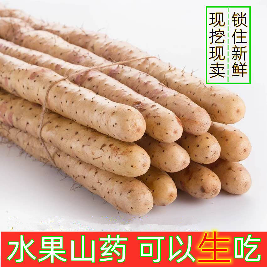 正宗铁棍山药新鲜铁杆怀山药现挖小白嘴山药面糯香甜批发包邮