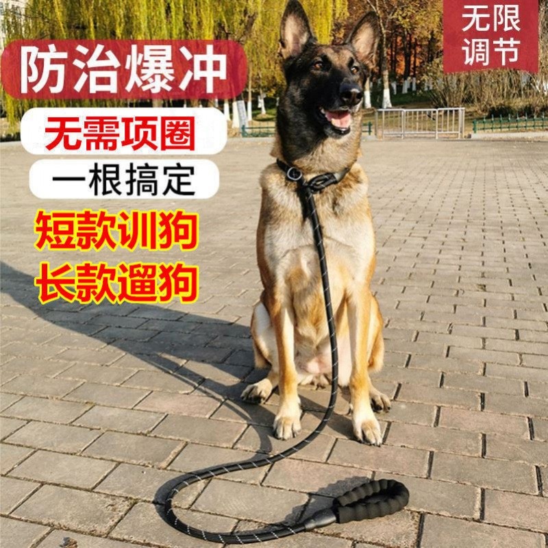 宠物专业P链狗狗训练绳p绳遛狗绳子防爆冲牵引绳单绳大型犬小型