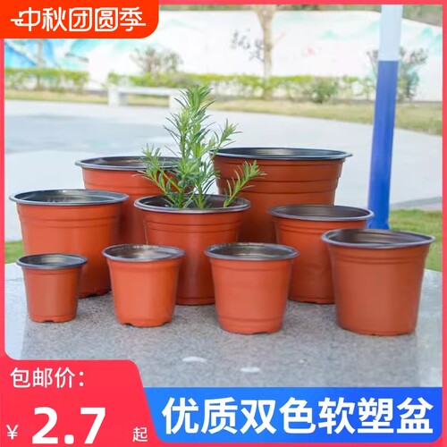 双色花盆插扦种植育苗营养钵塑料一次性加厚园艺绿植盆多肉盆培育