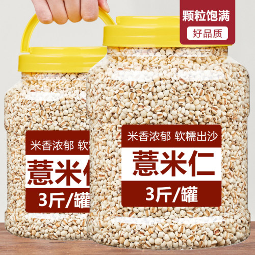 云南农家薏米新货薏仁米颗粒饱满红豆薏米粥五谷粗粮批发养生食材