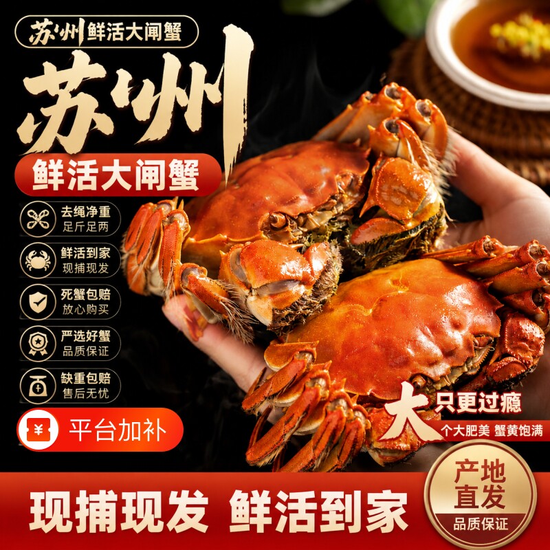 苏州阳澄精品大闸蟹鲜活螃蟹公4.5全母3.5两8只高端礼盒装中秋