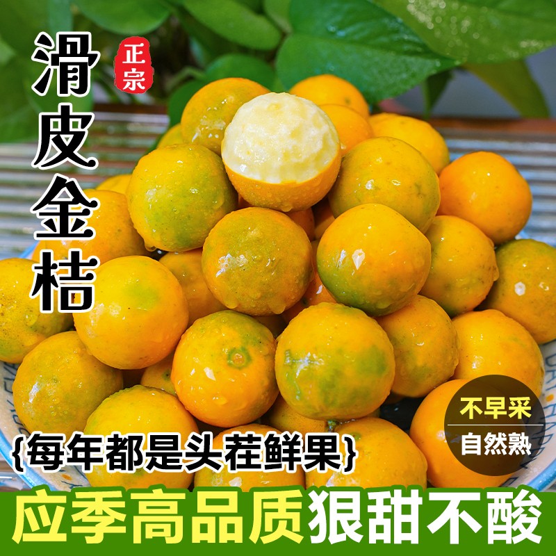 正宗广西融安滑皮金桔新鲜桔子应当季现摘水果蜜金柑桔纯甜带皮吃
