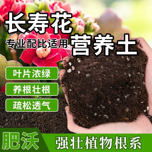 长寿花专用土花土营养土栽培肥料