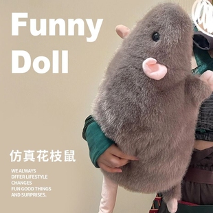 仿真花枝鼠玩偶抱枕搞怪大老鼠毛绒公仔豚鼠娃娃女生男友生日礼物