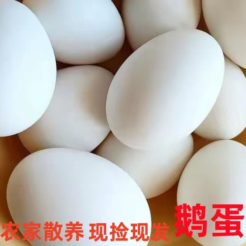 农家大鹅蛋土鹅蛋新鲜大白鹅鹅蛋现捡现发营养健康散养土鹅蛋