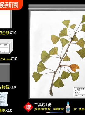 标本台纸腊叶植物标本夹中药普查专用40*30cm国家标准款a4A3卡纸树叶标本制作不干胶标本名标签塑自封袋