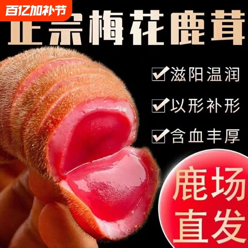 吉林梅花鹿鹿茸整枝泡酒鹿角鹿茸片整根新鲜带血二杠正品鲜鹿茸真