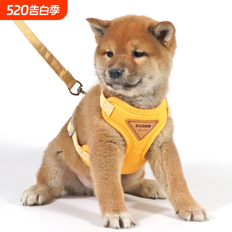 背心式狗狗牵引绳小型犬泰迪贵宾博美胸背带小狗幼犬遛狗绳狗链子