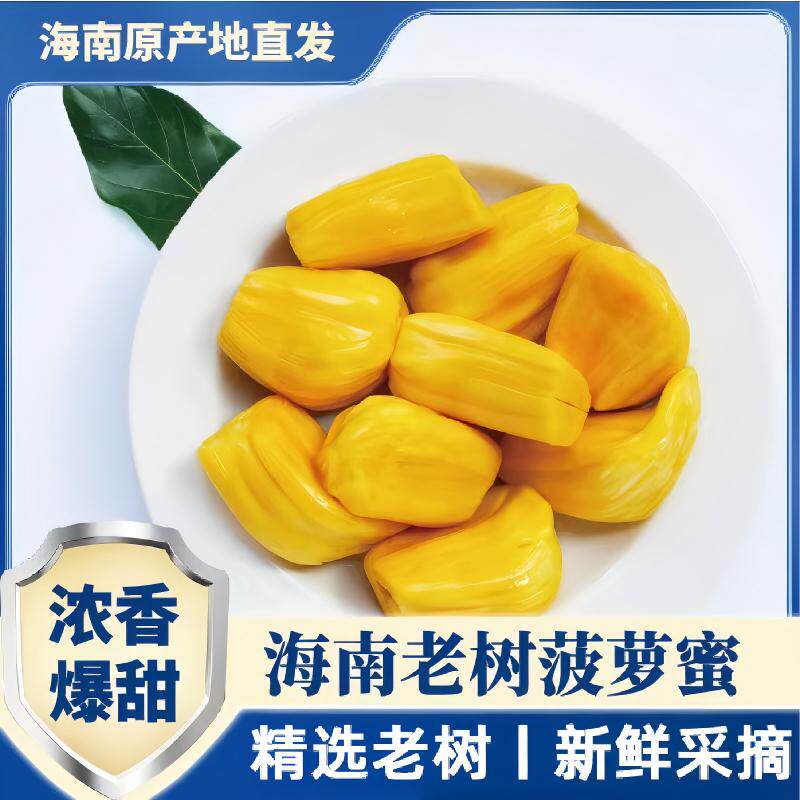 海南三亚黄肉菠萝蜜新鲜水果包邮当季现摘波罗一整个整箱当季包邮