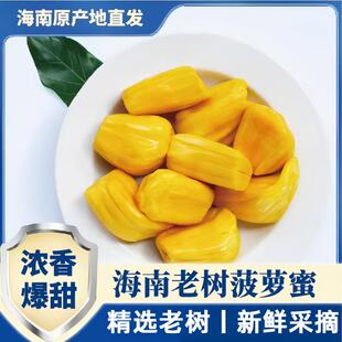 海南三亚黄肉菠萝蜜新鲜水果包邮当季现摘波罗一整个整箱热带大果