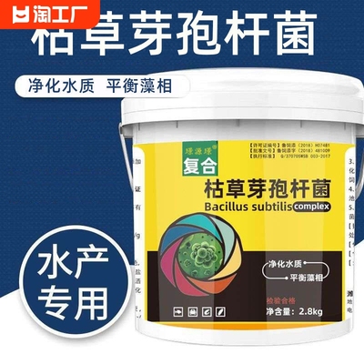 枯草芽孢杆菌菌种粉水产养殖专用原粉肥水虾蟹净化净水水质乳酸菌