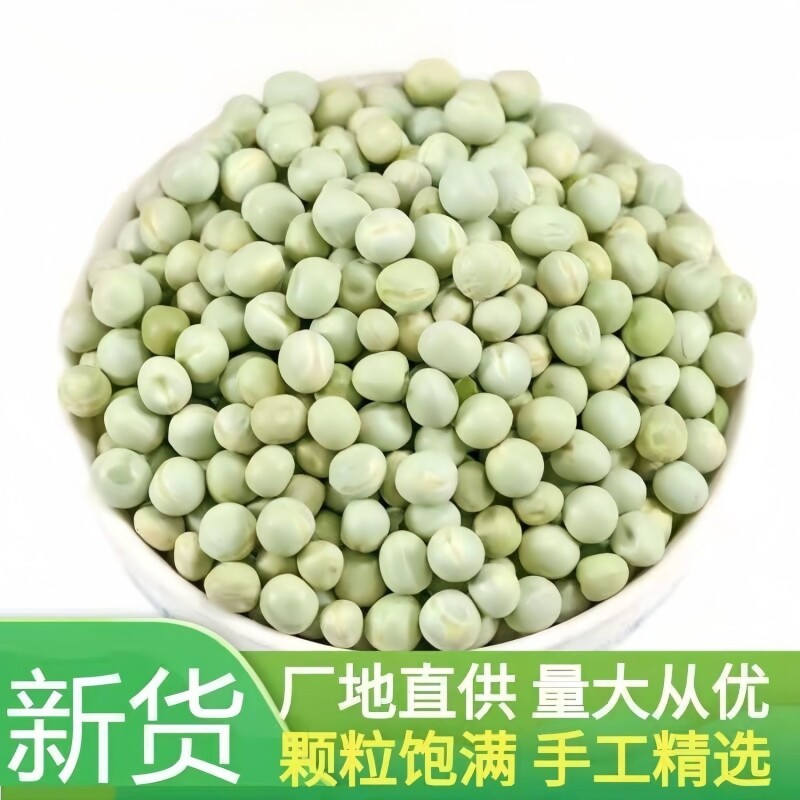 云南青豌豆干货干青新鲜干豌豆粒发豆芽专用大青豆绿麦豆子新货