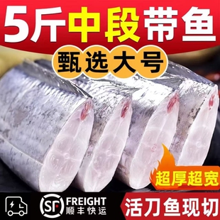 新鲜带鱼段中段大段5斤东海冷冻小眼带鱼雷达海捕刀鱼段海鲜水产