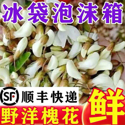 2026正宗槐花洋槐花新鲜现摘纯天然野菜野生可食用鲜花骨朵批发