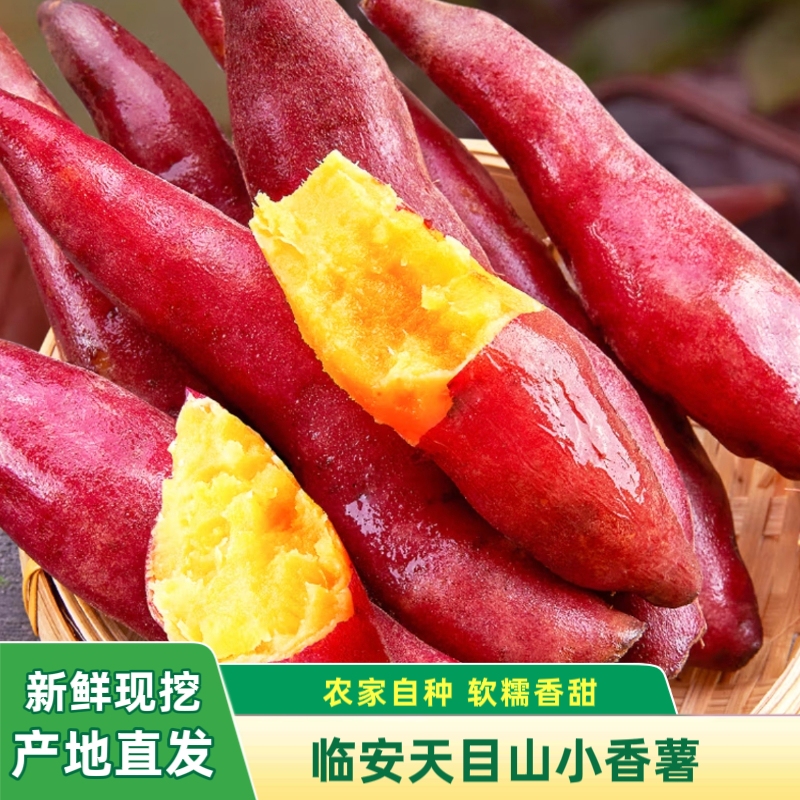 新鲜现挖临安天目山小香薯软糯