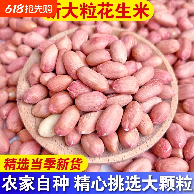 25年新鲜花生米特大颗粒生新货粉皮不带壳大粒休闲精选优质果仁