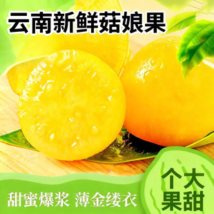 云南姑娘果大果5新鲜当季水果整箱特产灯笼果小金豆甜菇娘果