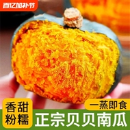 贝贝南瓜新鲜板栗味老南瓜正宗