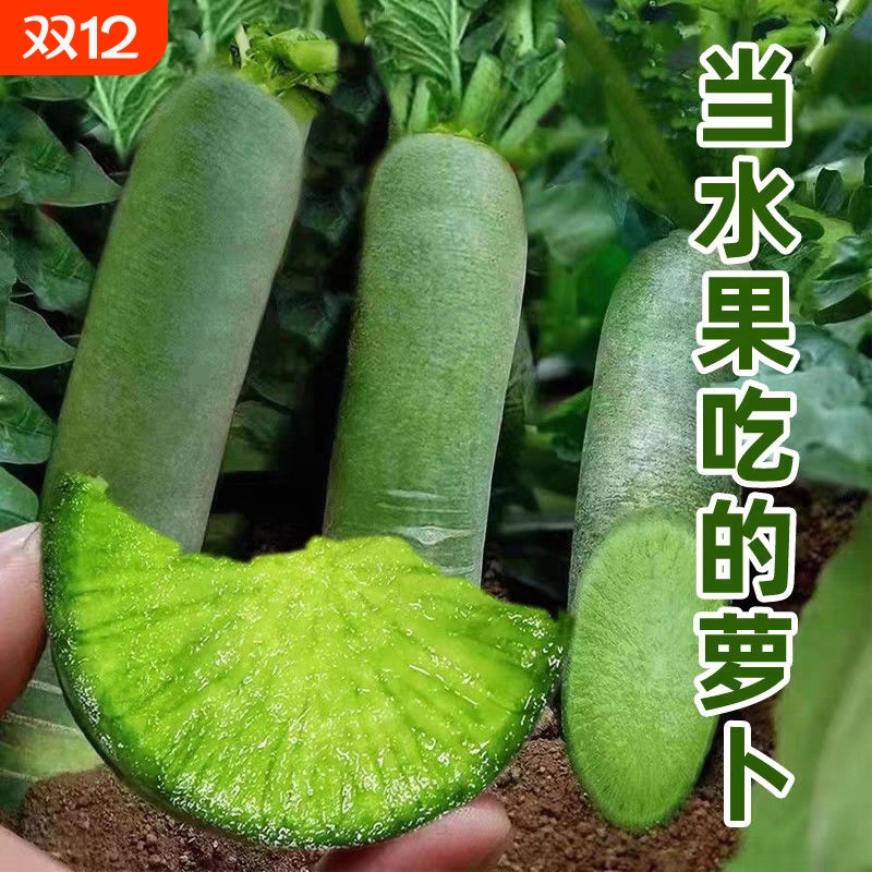 新种水果萝卜甜脆型潍坊