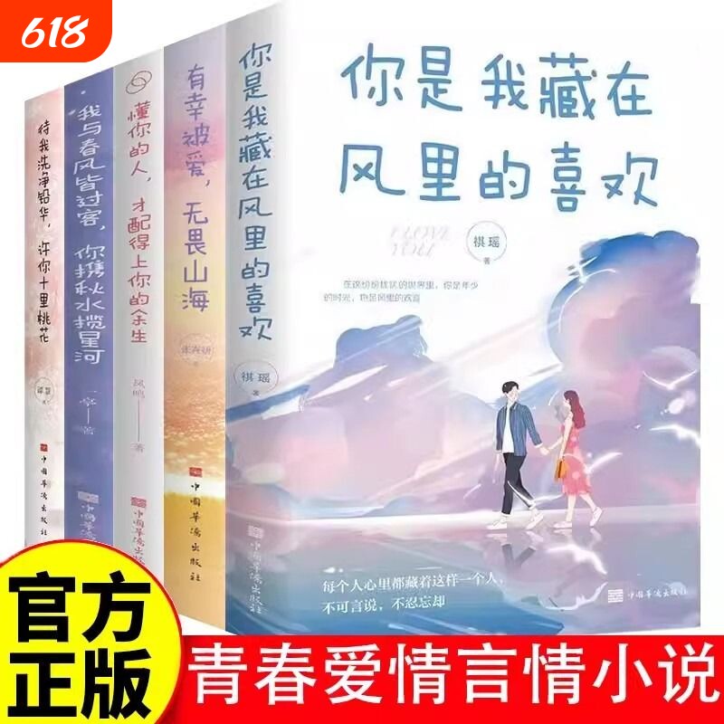 青春爱情言情小说书籍你是我风里的有幸被爱无畏山海懂你的人才配得上