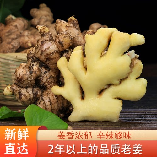 云南正宗小黄姜新鲜生姜
