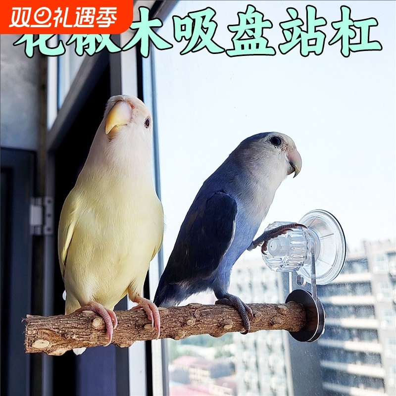 鹦鹉花椒木吸盘站架子空中站杠站棍磨爪玄凤虎皮专用鸟用玻璃站台