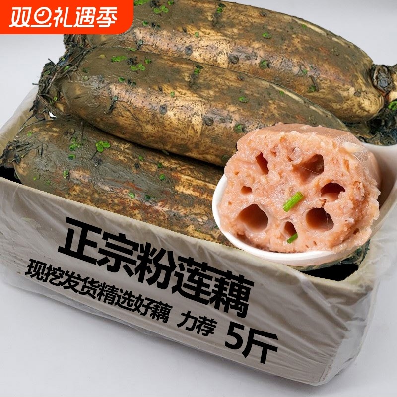 湖北洪湖正宗莲藕新鲜现挖现发煲汤粉藕粉糯米藕火锅食材配菜烧烤