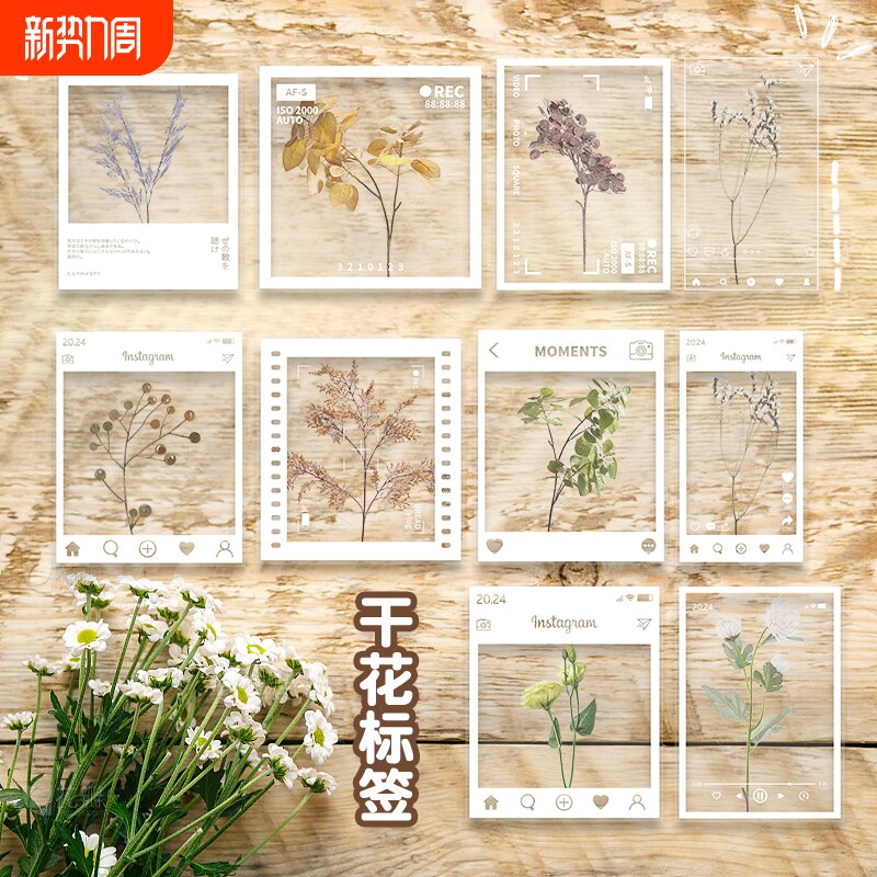 学生干花书签大号手工diy材料包透明标本自制树叶花朵植物压花春收