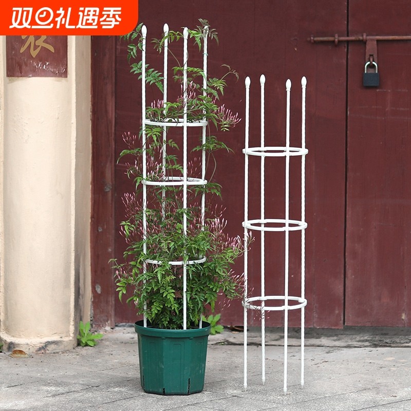 阳台铁艺爬藤花架月季线莲