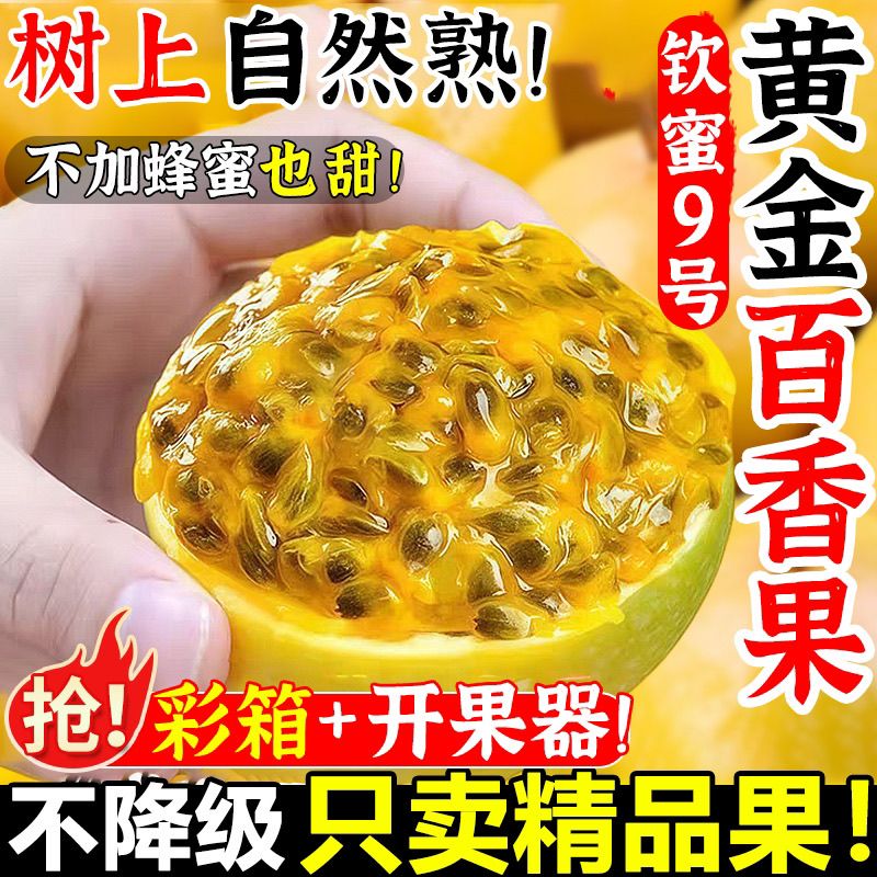 广西钦蜜9号黄金百香果新鲜果应季水果新鲜现摘大果整箱黄金果