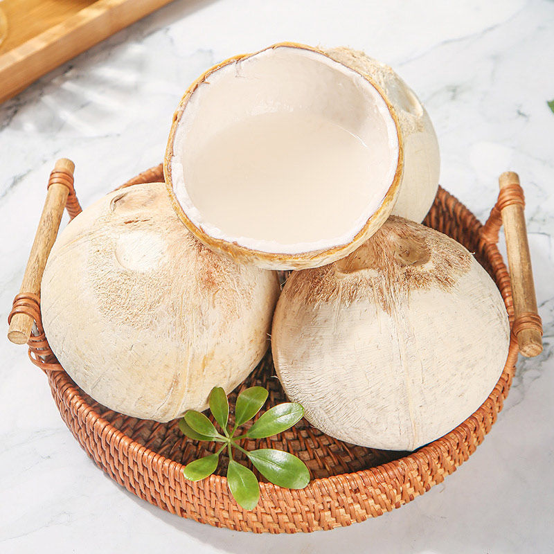 顺丰泰国哪像椰皇新鲜奶香椰子当季整箱椰王热带进口丹嫩沙多包邮