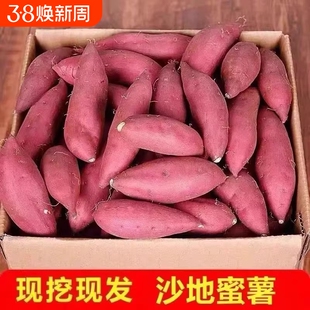 沙地蜜薯红薯新鲜番薯农家现发烤地瓜山芋红署自种9斤黄心红薯