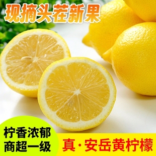 四川真安岳黄柠檬当季 新鲜水果泡饮精选薄皮香水鲜甜柠檬生鲜斤装