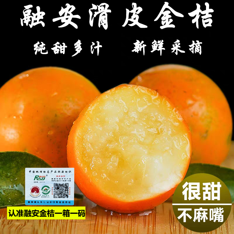 广西融安滑皮金桔5斤当季新鲜水果纯甜金橘孕妇脆大果