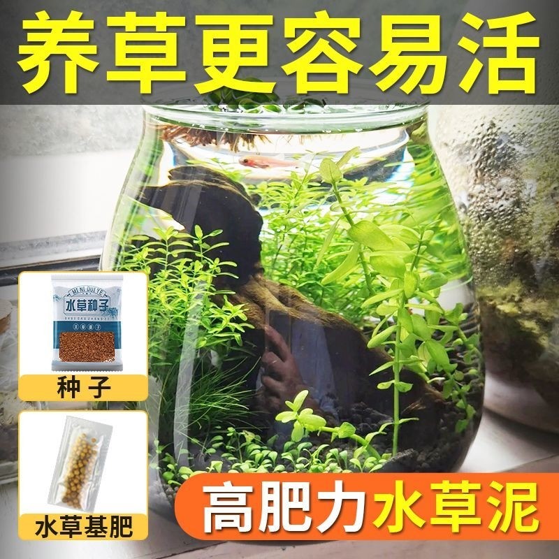 【不浑水 送种子】水草泥陶粒砂鱼缸造景底砂底沙水族箱种子石头
