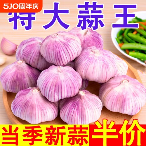 山东金乡今年新干蒜蒜香味更浓