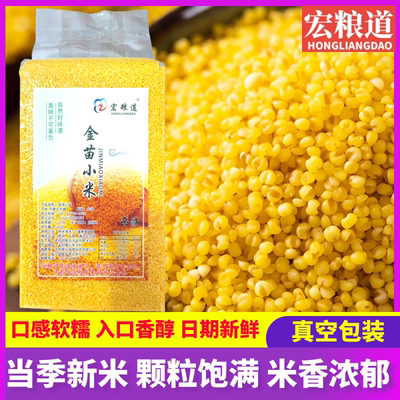 金苗小米优质五谷小米杂粮新小黄米食用粥赤峰敖汉黄小米新米