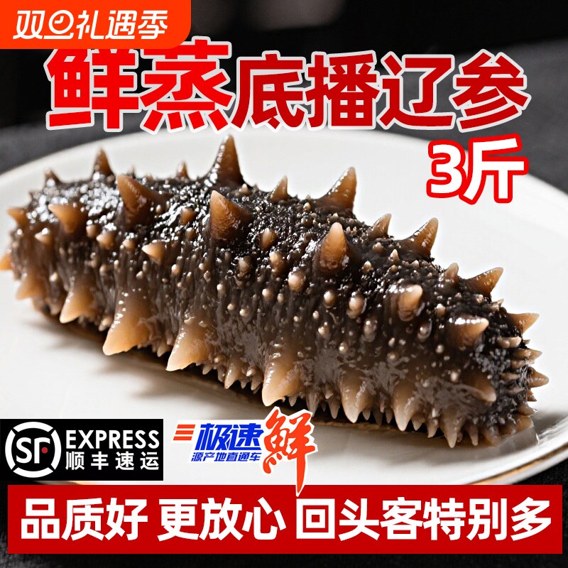 鲜蒸即食海参3斤大连深海捕捞非淡干高营养特Q弹大个头水产冷冻