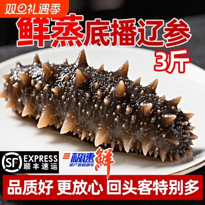 参意盎然大连大连即食海参高营养