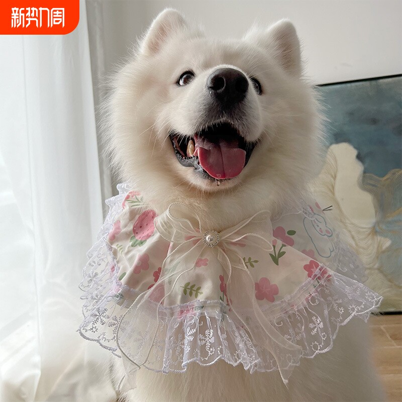 狗狗围脖领结草莓蝴蝶结宠物围巾装饰品大中小型犬萨摩耶围兜配饰