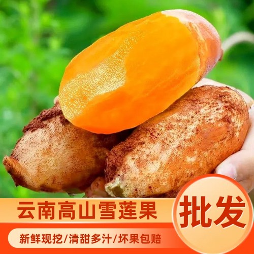 【新鲜上市】云南天山雪莲果现挖农家水果黄心雪莲果脆甜水润多汁