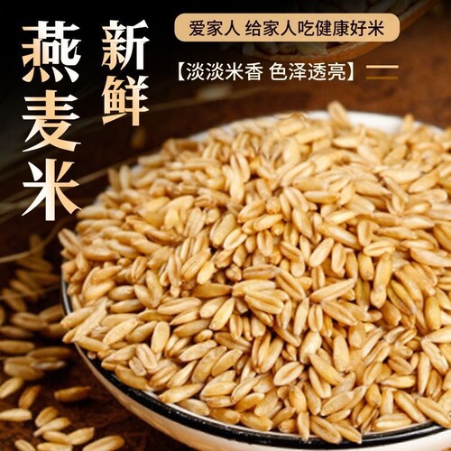 精选燕麦米新货新米燕麦胚芽米五谷杂粮去皮农家燕麦米批发