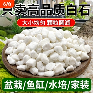 小白石头子鹅卵石花园庭院造景铺路雨花石盆栽鱼缸底砂多肉铺面石