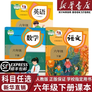 新华书店正版2025新版六年级下册全套课本人教版教材小学6年级下册语文书数学英语部编版教科书人民教育出版社六下语数英学校指定